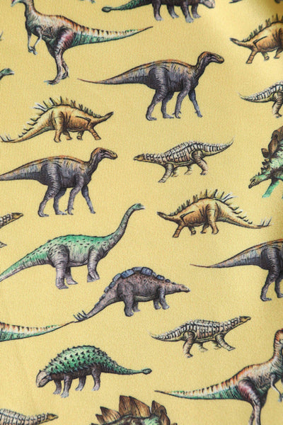 Close up View of Antique Dinosaur Flared Dress in Yellow