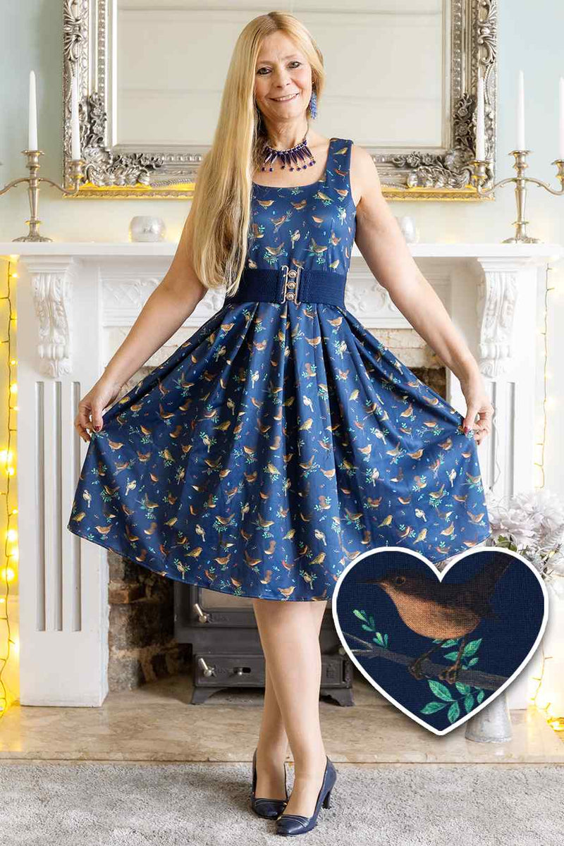 Blue Bird Print Swing Dress