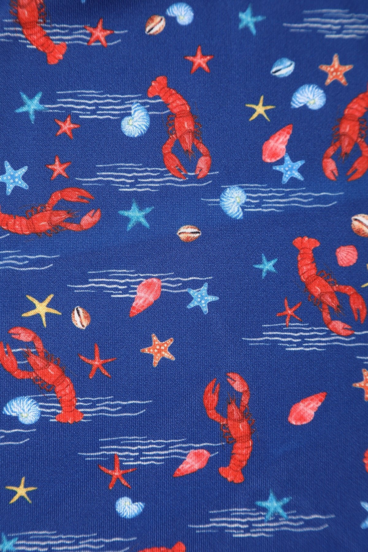 Close up view of Lobster Dark Blue Flared Dress