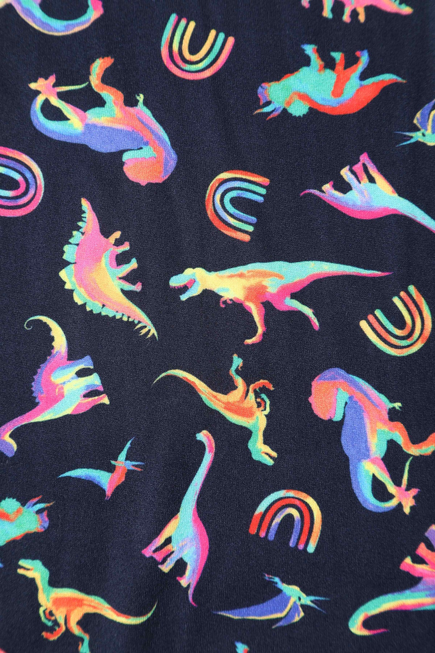 Close up View of Prehistorical Dinosaurs and Rainbow Black Jumpsuit