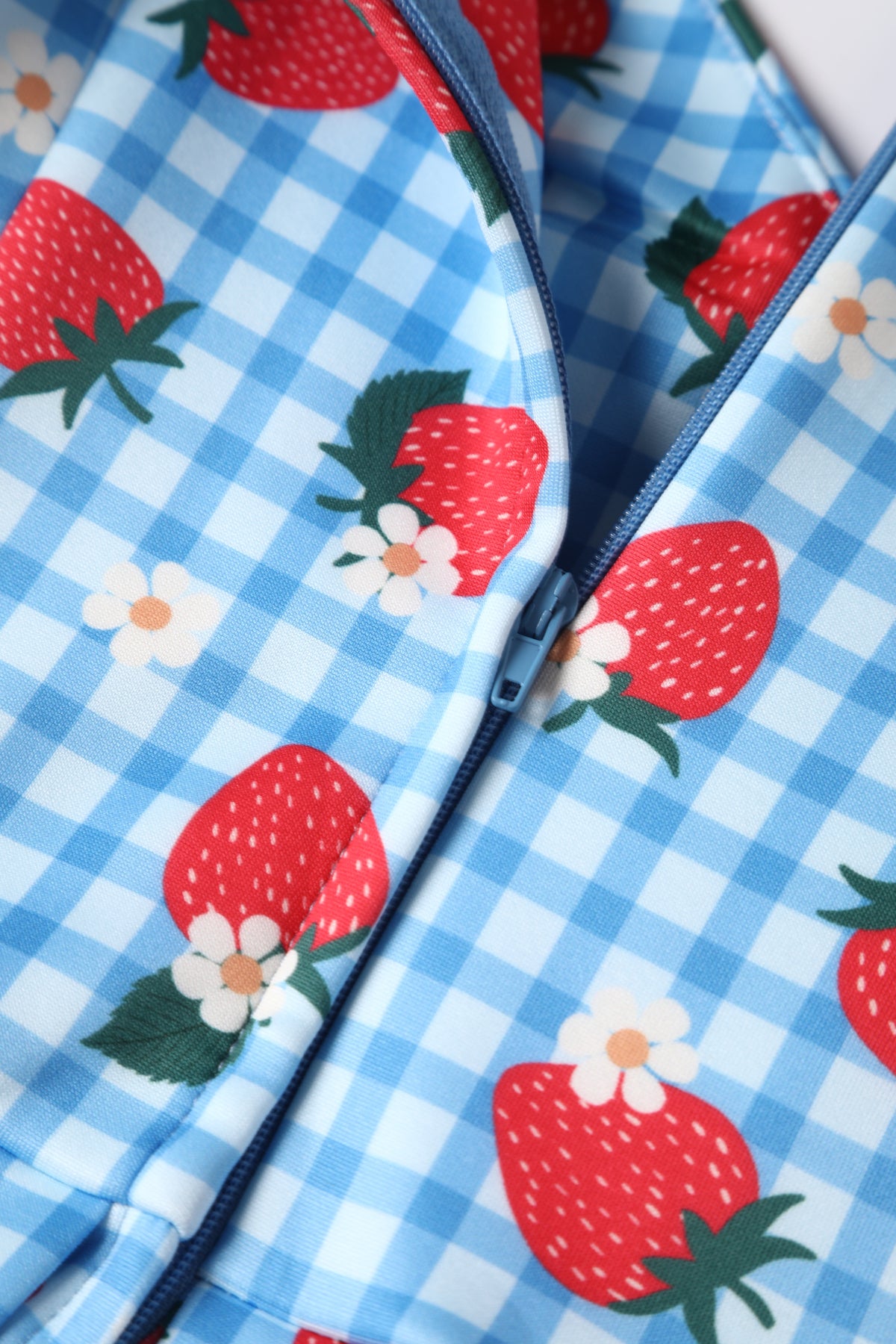 Close up view of Summer Strawberry Blue Gingham Dress