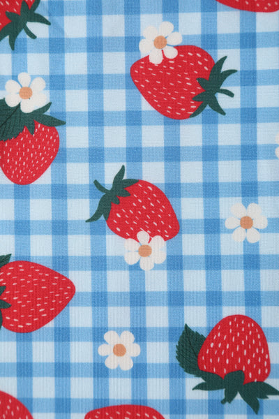 Close up view of Summer Strawberry Blue Gingham Dress