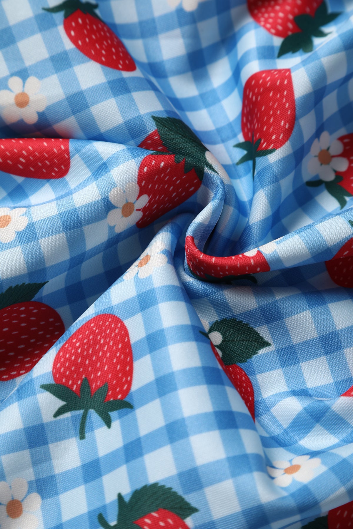 Close up view of Summer Strawberry Blue Gingham Dress