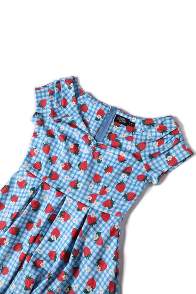 Close up view of Summer Strawberry Blue Gingham Dress